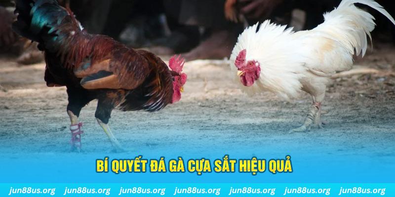 nổ hũ may mắn