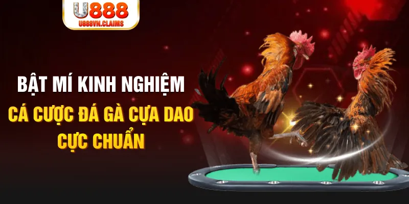 banca28 casino hồ tràm có cho người việt vào không