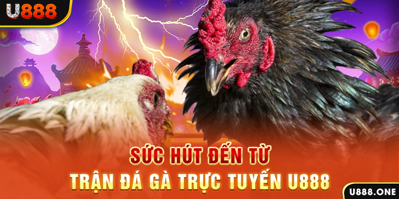 banca28 đăng nhập poker 2024