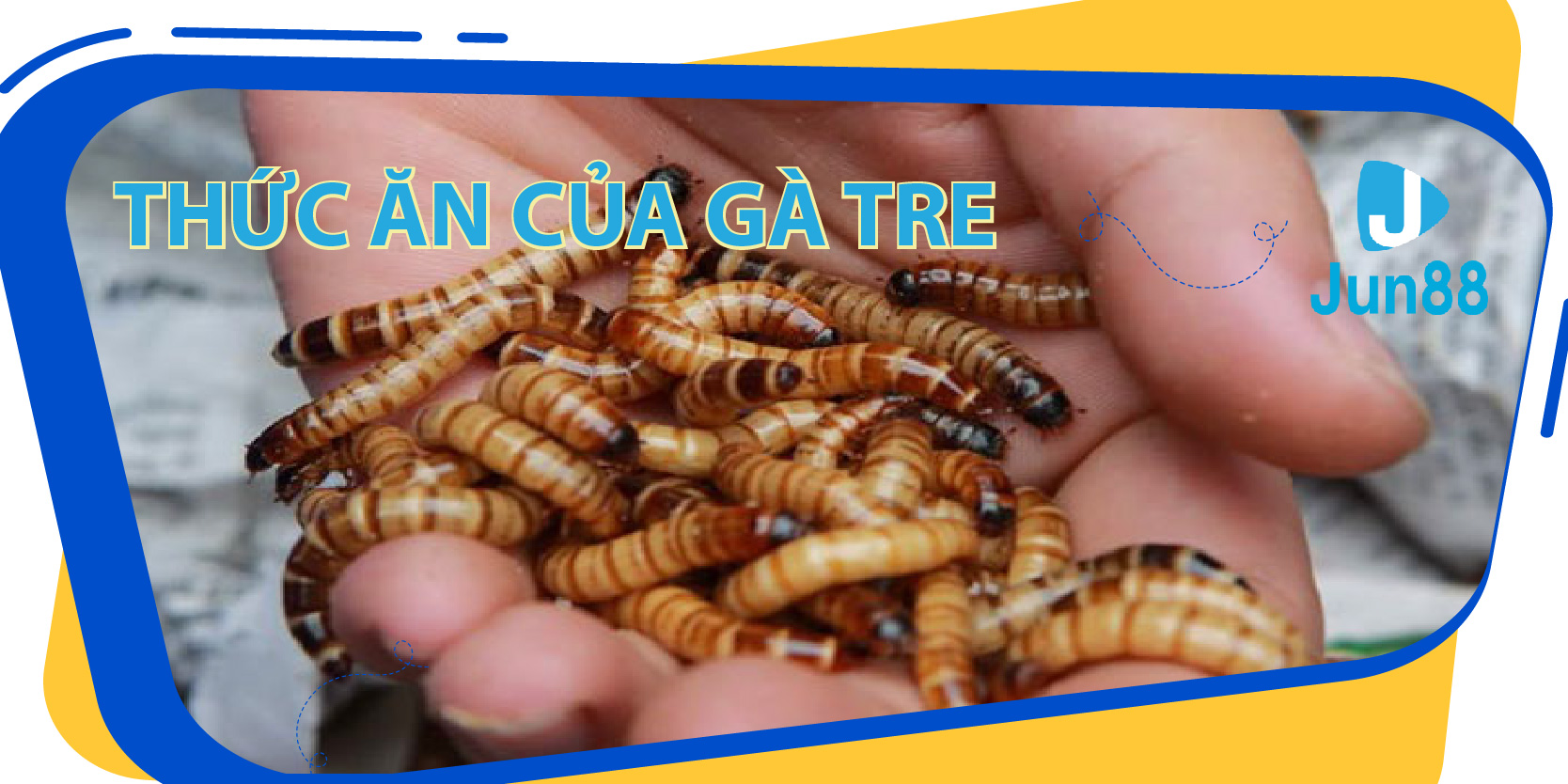 banca28 da ga 67