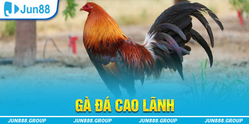 banca28 tai game vua bai ve may tinh