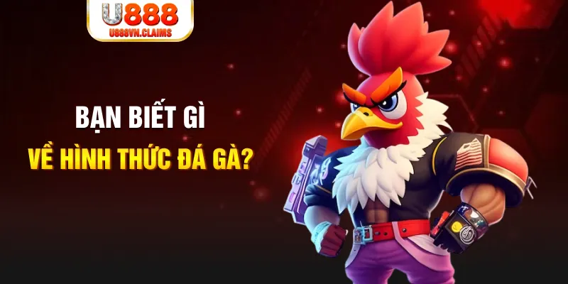 banca28 đăng nhập liêng tặng tiền