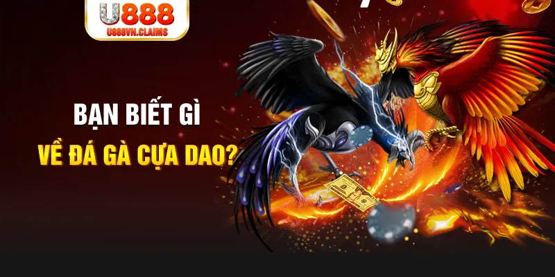banca28 xo so mien bac