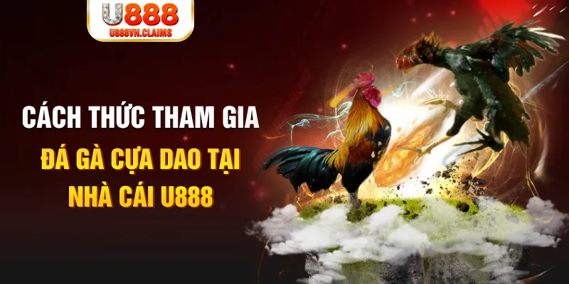 banca28 đá gà 88.com