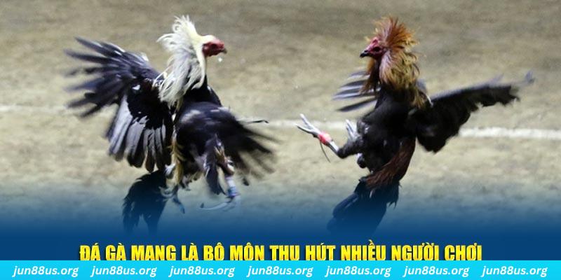 banca28 đăng nhập sòng bạc số 1