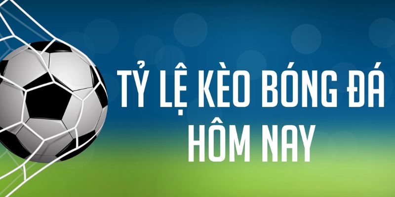 banca28 đăng nhập phỏm