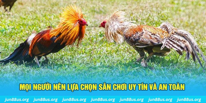 banca28 đăng nhập poker 2025