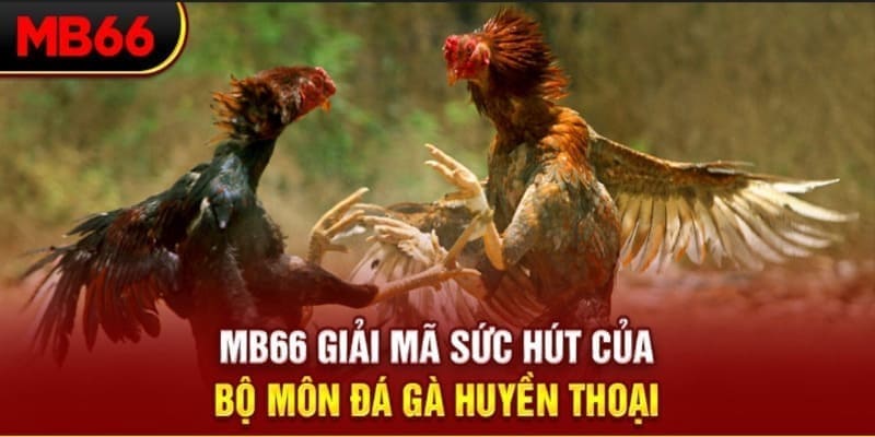 banca28 xổ số đài bắc