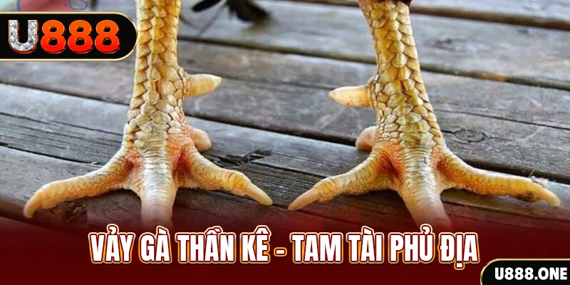 banca28 so xo mien trung