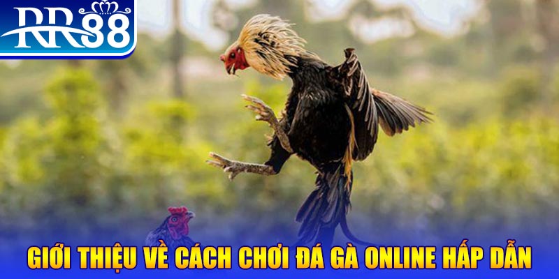 banca28 EvoPlay Điện Tử