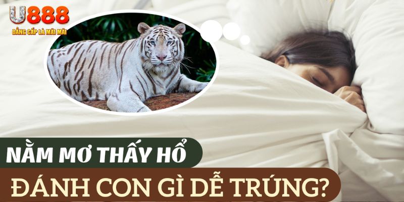 banca28 nohu .mx nổ hủ là gì