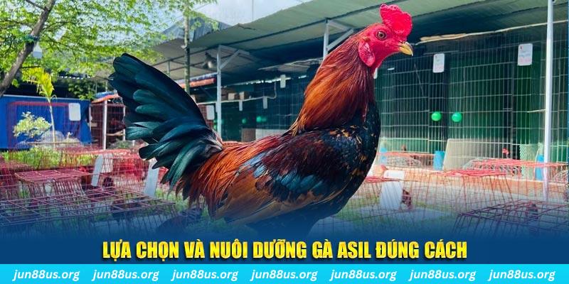 banca28 nổ hũ thần tài là gì