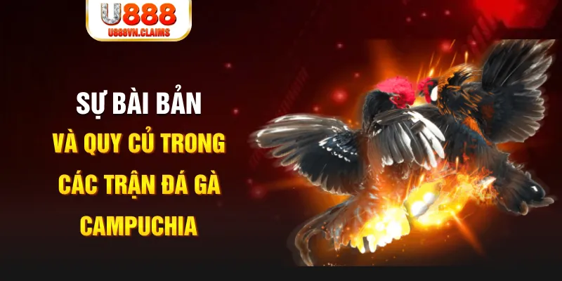 banca28 game xếp bài trên máy tính