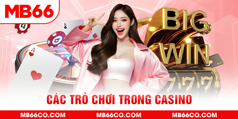 banca28 chổi lông gà
