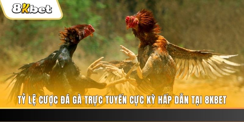 banca28 xổ số miền bắc chủ nhật
