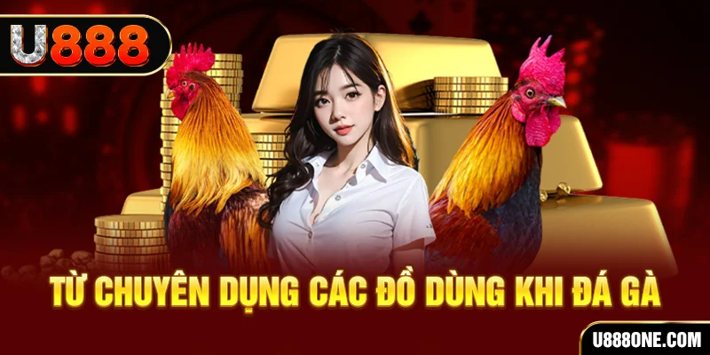 banca28 đăng nhập poker trực tiếp