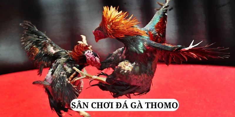 banca28 quay nổ hũ là gì